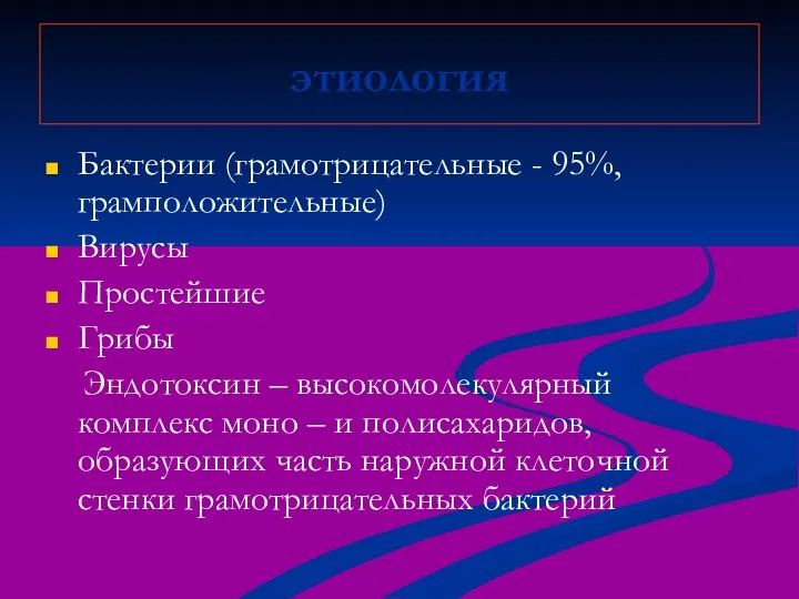 этиология Бактерии (грамотрицательные - 95%, грамположительные) Вирусы Простейшие Грибы Эндотоксин – высокомолекулярный