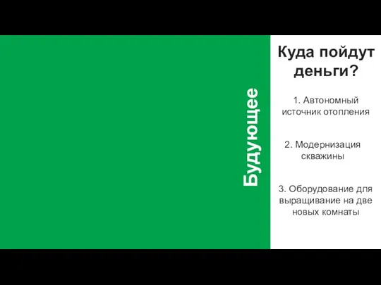 Будующее Куда пойдут деньги? 1. Автономный источник отопления 2. Модернизация скважины 3.