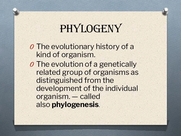 PHYLOGENY The evolutionary history of a kind of organism. The evolution of