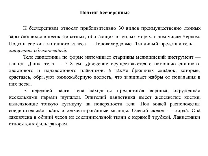 Подтип Бесчерепные К бесчерепным относят приблизительно 30 видов преимущественно донных зарывающихся в