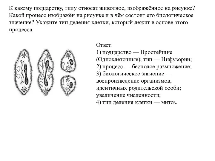 К какому подцарству, типу относят животное, изображённое на рисунке? Какой процесс изображён