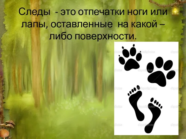 Следы - это отпечатки ноги или лапы, оставленные на какой – либо поверхности.