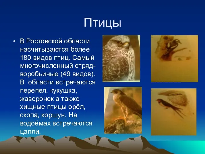 Птицы В Ростовской области насчитываются более 180 видов птиц. Самый многочисленный отряд-
