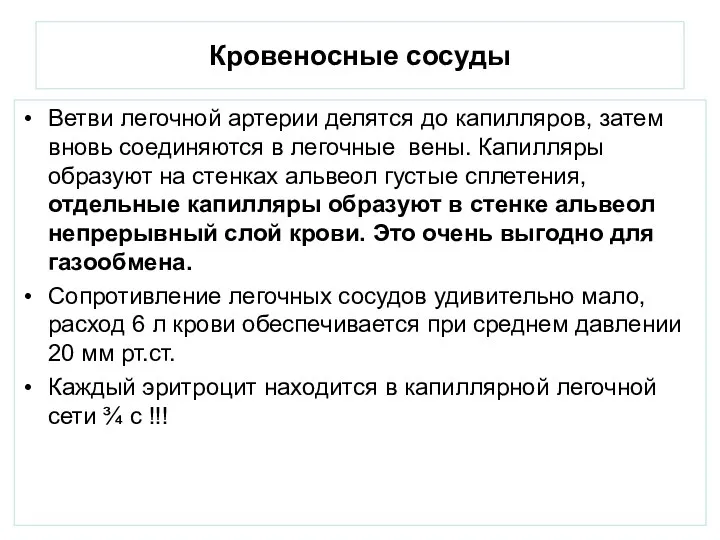 Кровеносные сосуды Ветви легочной артерии делятся до капилляров, затем вновь соединяются в