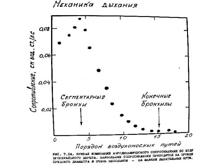 дыхательных путей