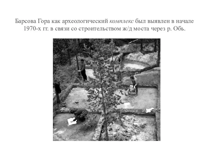 Барсова Гора как археологический комплекс был выявлен в начале 1970-х гг. в