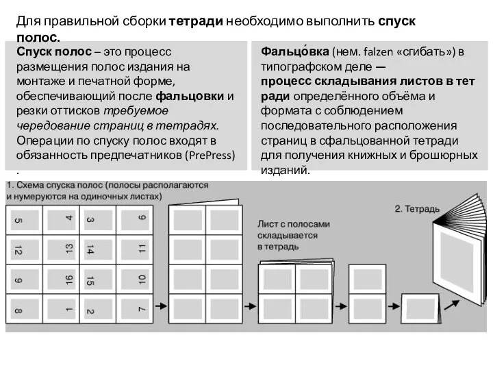 Для правильной сборки тетради необходимо выполнить спуск полос. Спуск полос – это