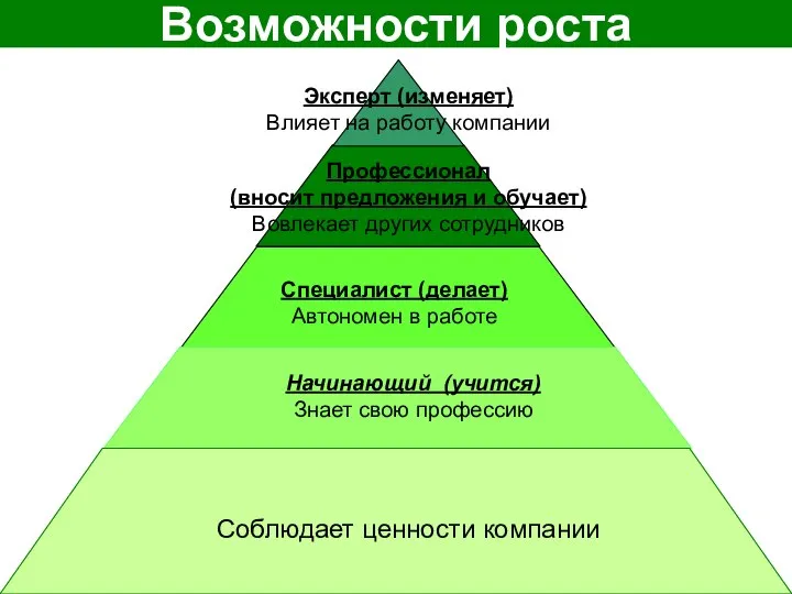 Возможности роста Соблюдает ценности компании Начинающий (учится) Знает свою профессию Специалист (делает)