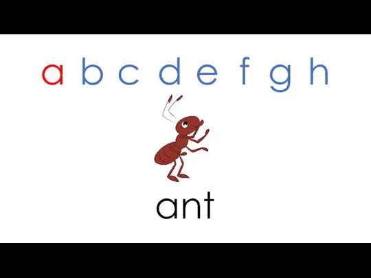 ant a b c d e f g h