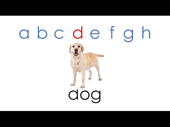 dog a b c d e f g h