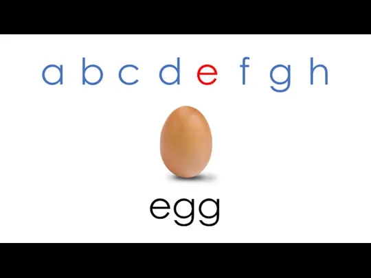 egg a b c d e f g h