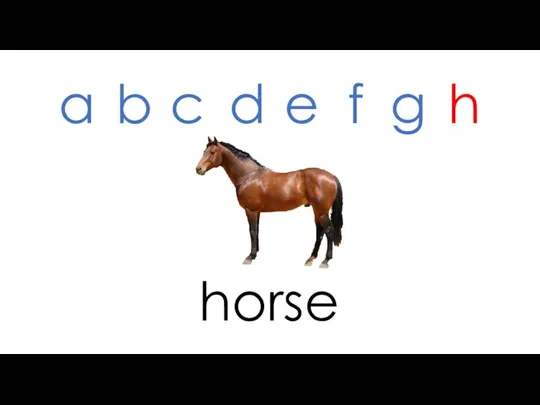 horse a b c d e f g h