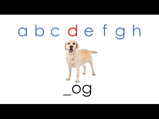 _og a b c d e f g h