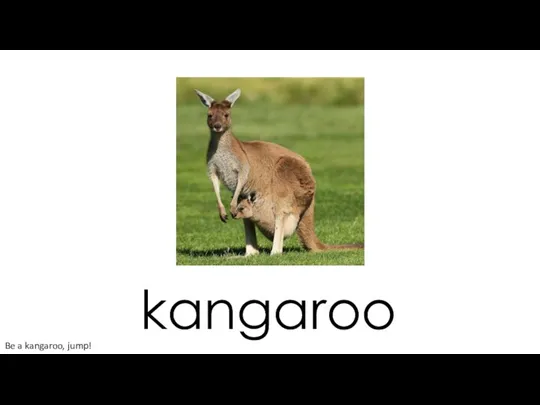 kangaroo Be a kangaroo, jump!