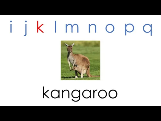 kangaroo i j k l m n o p q