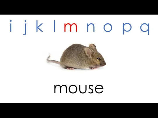 mouse i j k l m n o p q