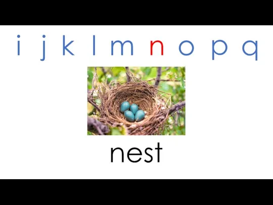 nest i j k l m n o p q