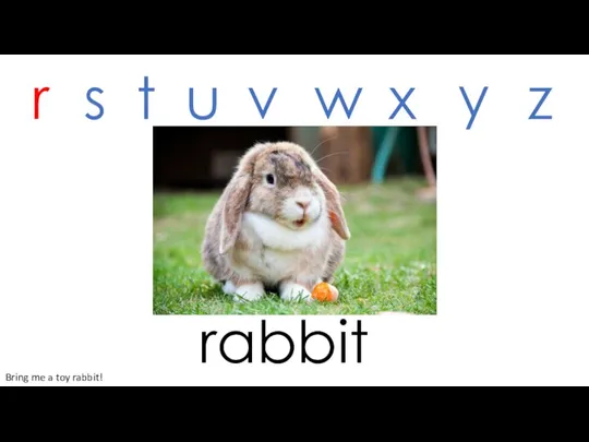 rabbit r s t u v w x y z Bring me a toy rabbit!