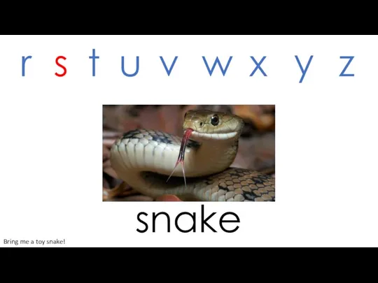 snake r s t u v w x y z Bring me a toy snake!