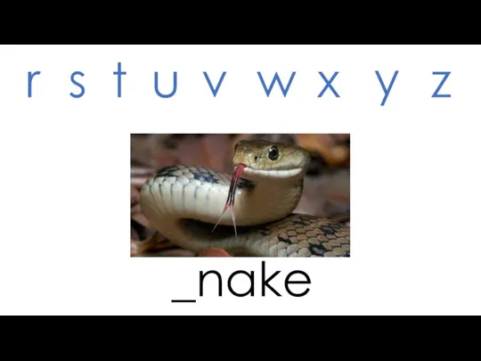 _nake r s t u v w x y z