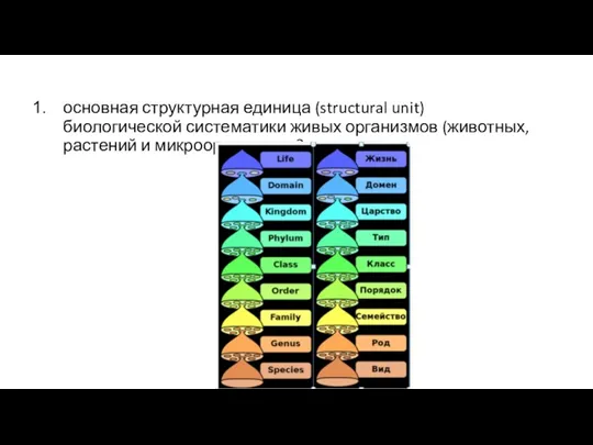 основная структурная единица (structural unit) биологической систематики живых организмов (животных, растений и микроорганизмов?