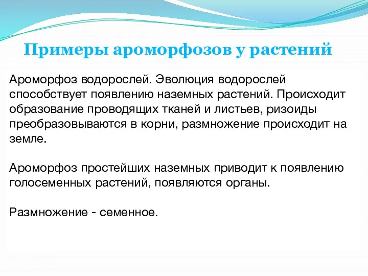 Примеры ароморфозов у растений Ароморфоз водорослей. Эволюция водорослей способствует появлению наземных растений.