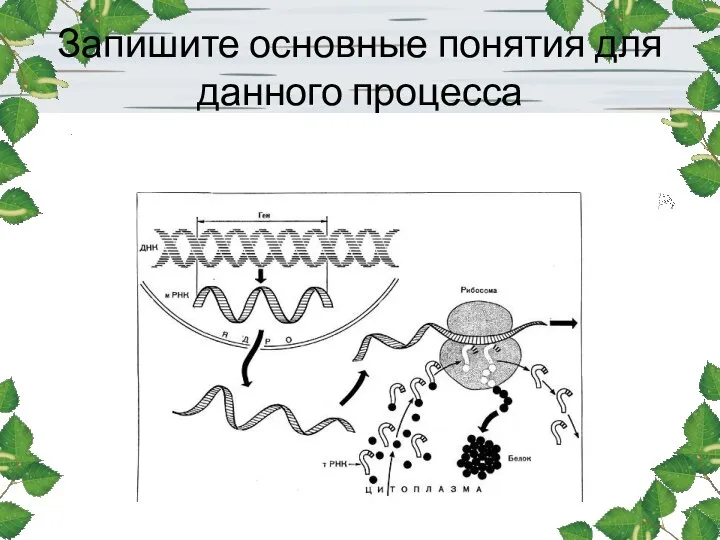 Запишите основные понятия для данного процесса