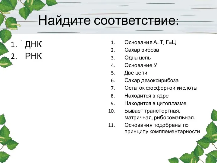 Найдите соответствие: ДНК РНК Основания А=Т; Г≡Ц Сахар рибоза Одна цепь Основание