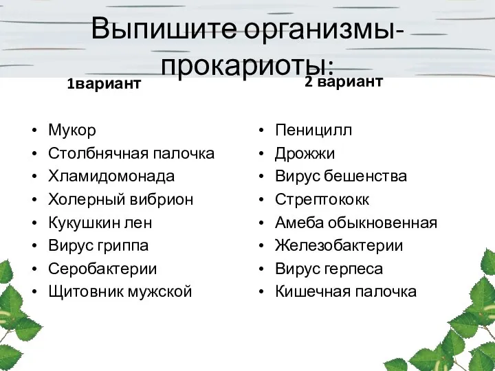 Выпишите организмы-прокариоты: 1вариант Мукор Столбнячная палочка Хламидомонада Холерный вибрион Кукушкин лен Вирус