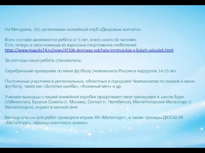 На Мичурина, 101 организован хоккейный клуб «Дворовые волчата». В его составе занимаются