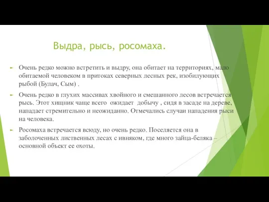 Выдра, рысь, росомаха. Очень редко можно встретить и выдру, она обитает на