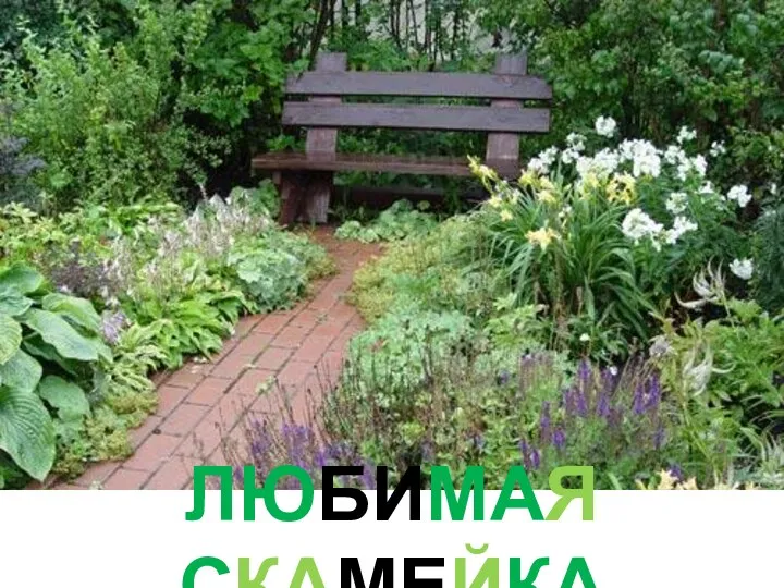 ЛЮБИМАЯ СКАМЕЙКА