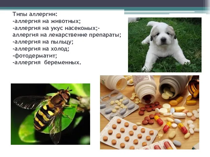 Типы аллергии: -аллергия на животных; -аллергия на укус насекомых;- аллергия на лекарственне