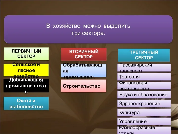 ПЕРВИЧНЫЙ СЕКТОР ВТОРИЧНЫЙ СЕКТОР ТРЕТИЧНЫЙ СЕКТОР Добывающая промышленность Сельское и лесное хозяйство