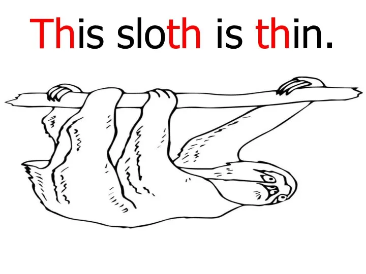 This sloth is thin.