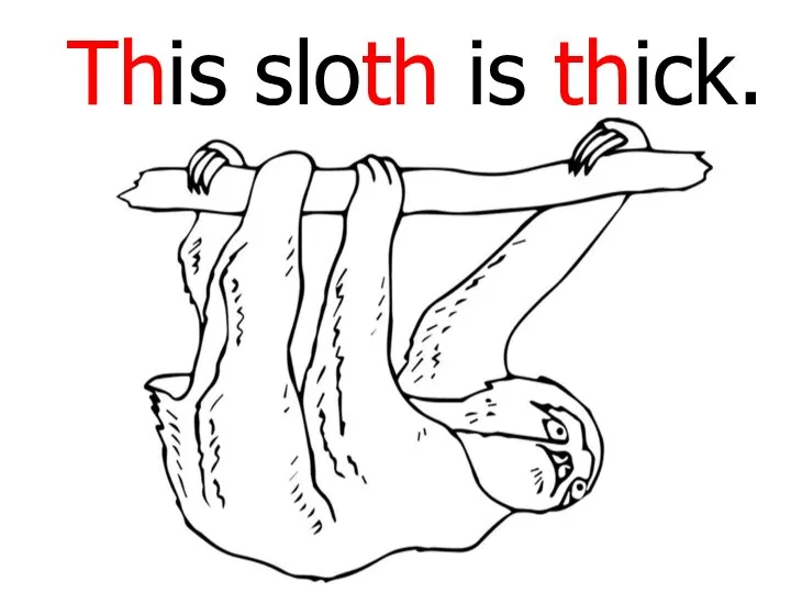 This sloth is thick.