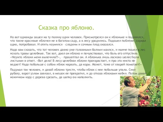 Сказка про яблоню. Но вот однажды зашел на ту поляну один человек.