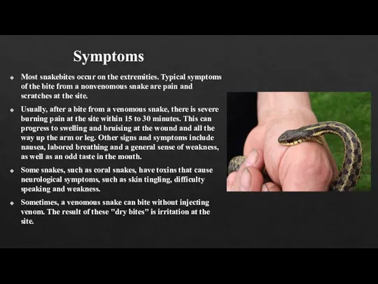 Symptoms Most snakebites occur on the extremities. Typical symptoms of the bite