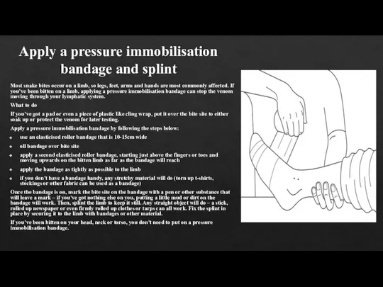 Apply a pressure immobilisation bandage and splint Most snake bites occur on