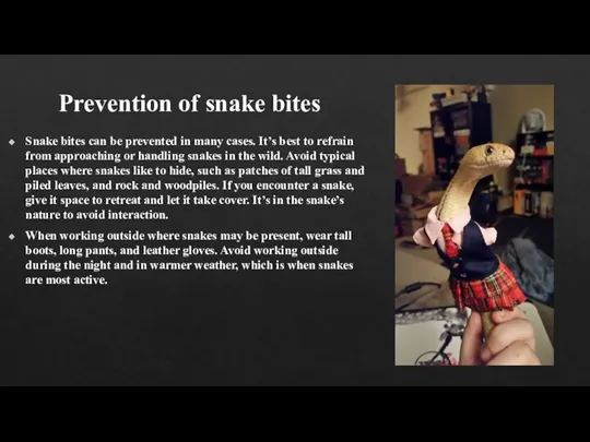 Prevention of snake bites Snake bites can be prevented in many cases.