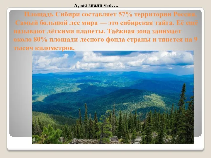 Площадь Сибири составляет 57% территории России. Самый большой лес мира — это