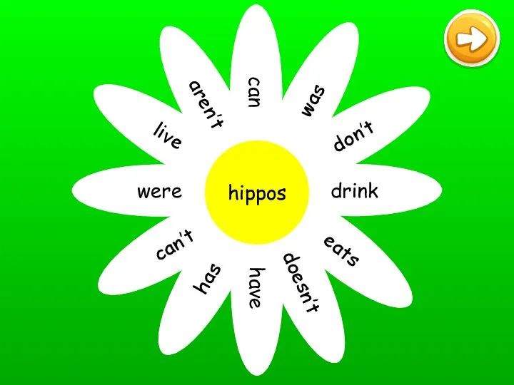 can was don’t drink eats doesn’t have has can’t were live aren’t hippos