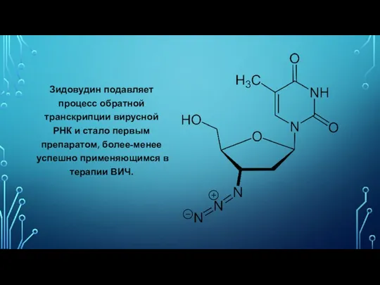 Зидовудин подавляет процесс обратной транскрипции вирусной РНК и стало первым препаратом, более-менее