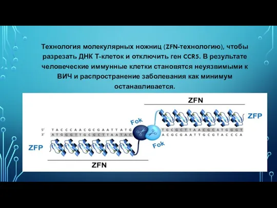Технология молекулярных ножниц (ZFN-технологию), чтобы разрезать ДНК Т-клеток и отключить ген CCR5.