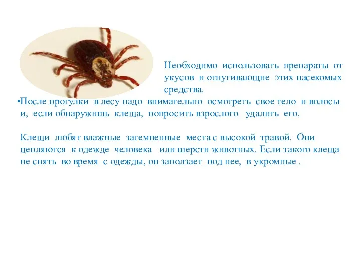 Необходимо использовать препараты от укусов и отпугивающие этих насекомых средства. После прогулки