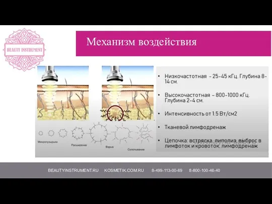 BEAUTYINSTRUMENT.RU KOSMETIK.COM.RU 8-499-113-00-69 8-800-100-46-40 Механизм воздействия