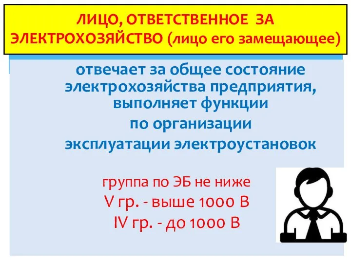 ЛИЦО, ОТВЕТСТВЕННОЕ ЗА ЭЛЕКТРОХОЗЯЙСТВО (лицо его замещающее) отвечает за общее состояние электрохозяйства