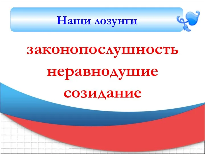 законопослушность неравнодушие созидание Наши лозунги