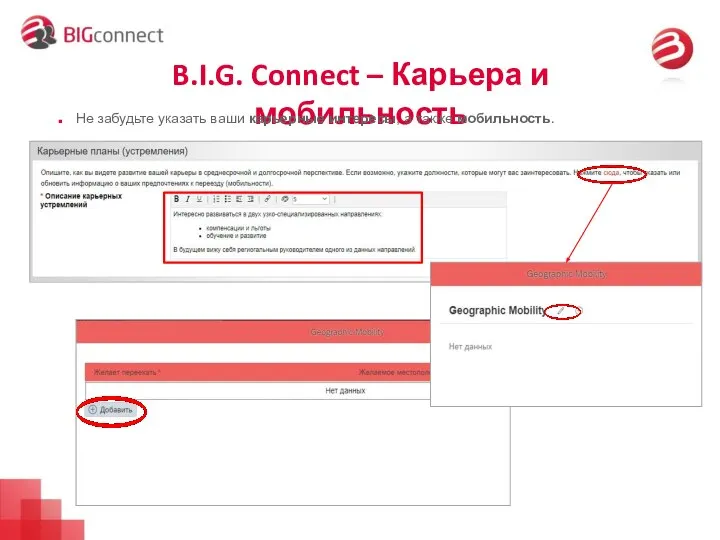 B.I.G. Connect – Карьера и мобильность Не забудьте указать ваши карьерные интересы, а также мобильность.