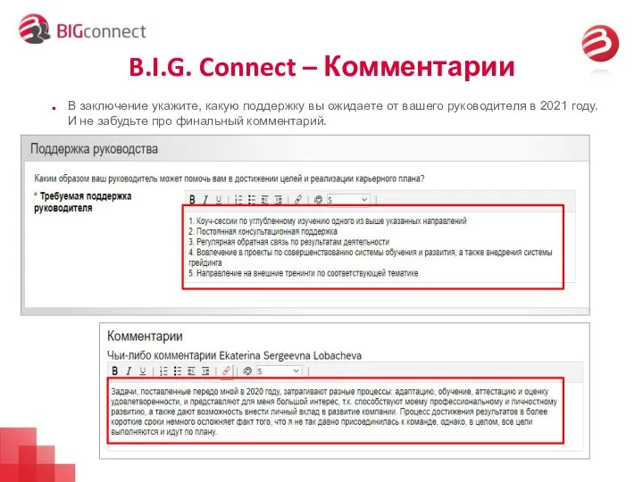 B.I.G. Connect – Комментарии В заключение укажите, какую поддержку вы ожидаете от